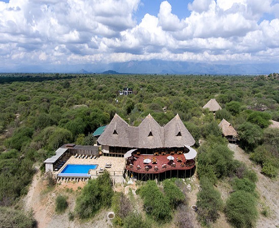 5 Days Lodge Tanzania Safari
