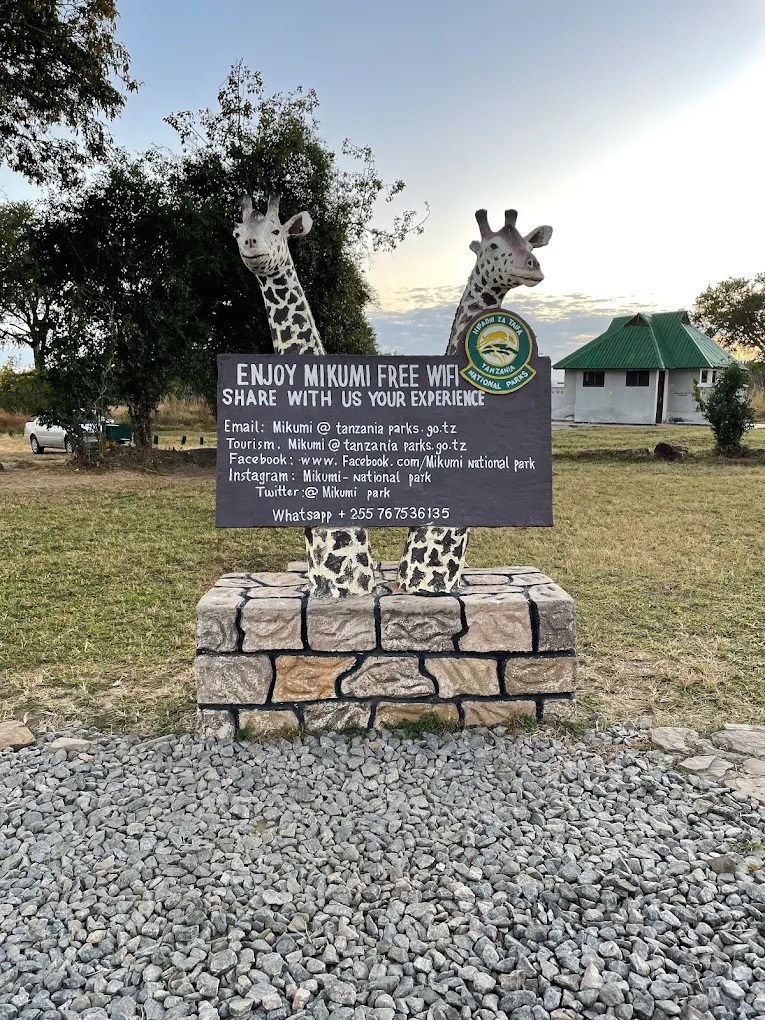 5 Days Selous and Mikumi Safari