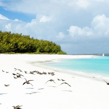 8 Days Safari and Beach Zanzibar
