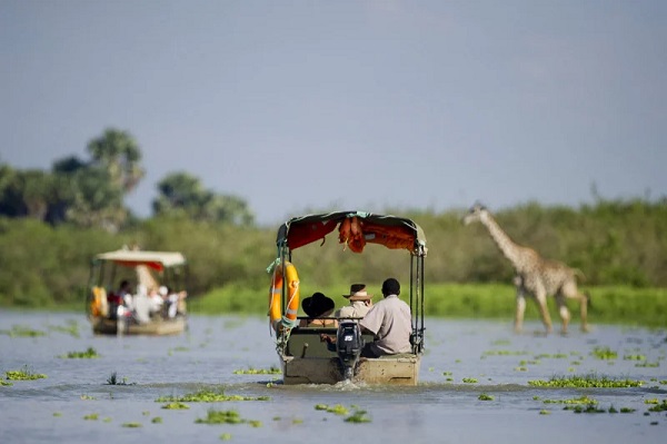 Boat safari with giraffe on Rufiji River Nyerere National Park