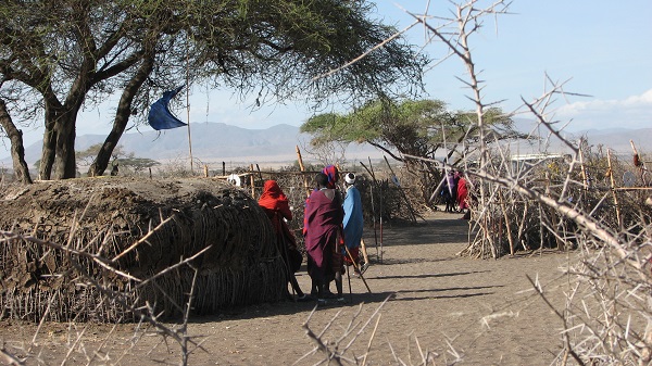 Maasai men standing by traditional manyatta mud huts in village