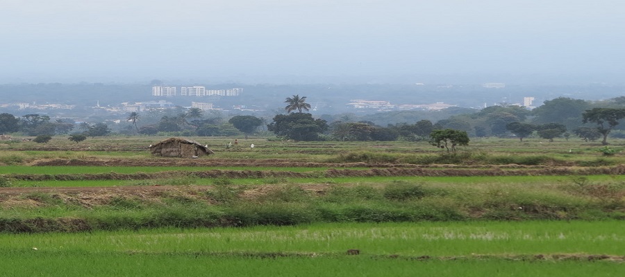 Tanzania Tours from Moshi