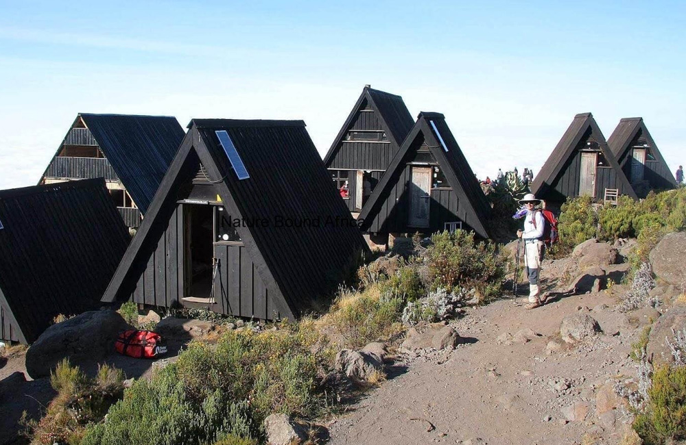 Scenic trail on Marangu Route Kilimanjaro