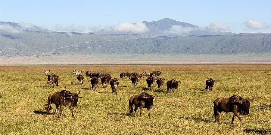 Best time to visit tanzania