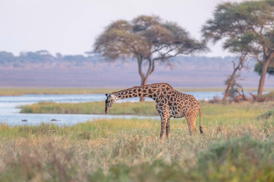 Best time to visit Tanzania