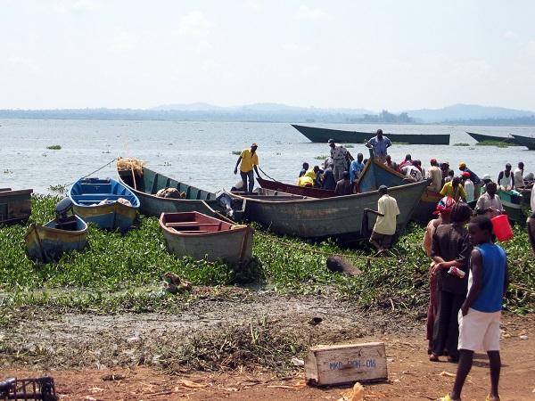 Lake Victoria fishing boats and sunrise Mwanza Tanzania