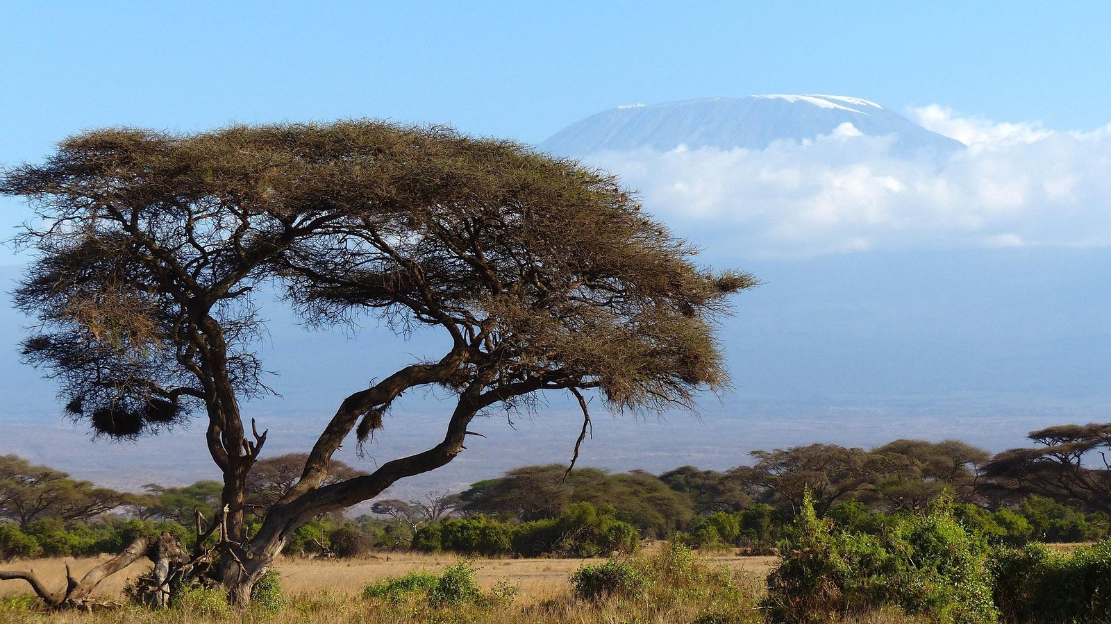 Kilimanjaro climate zones rainforest moorland alpine desert Tanzania