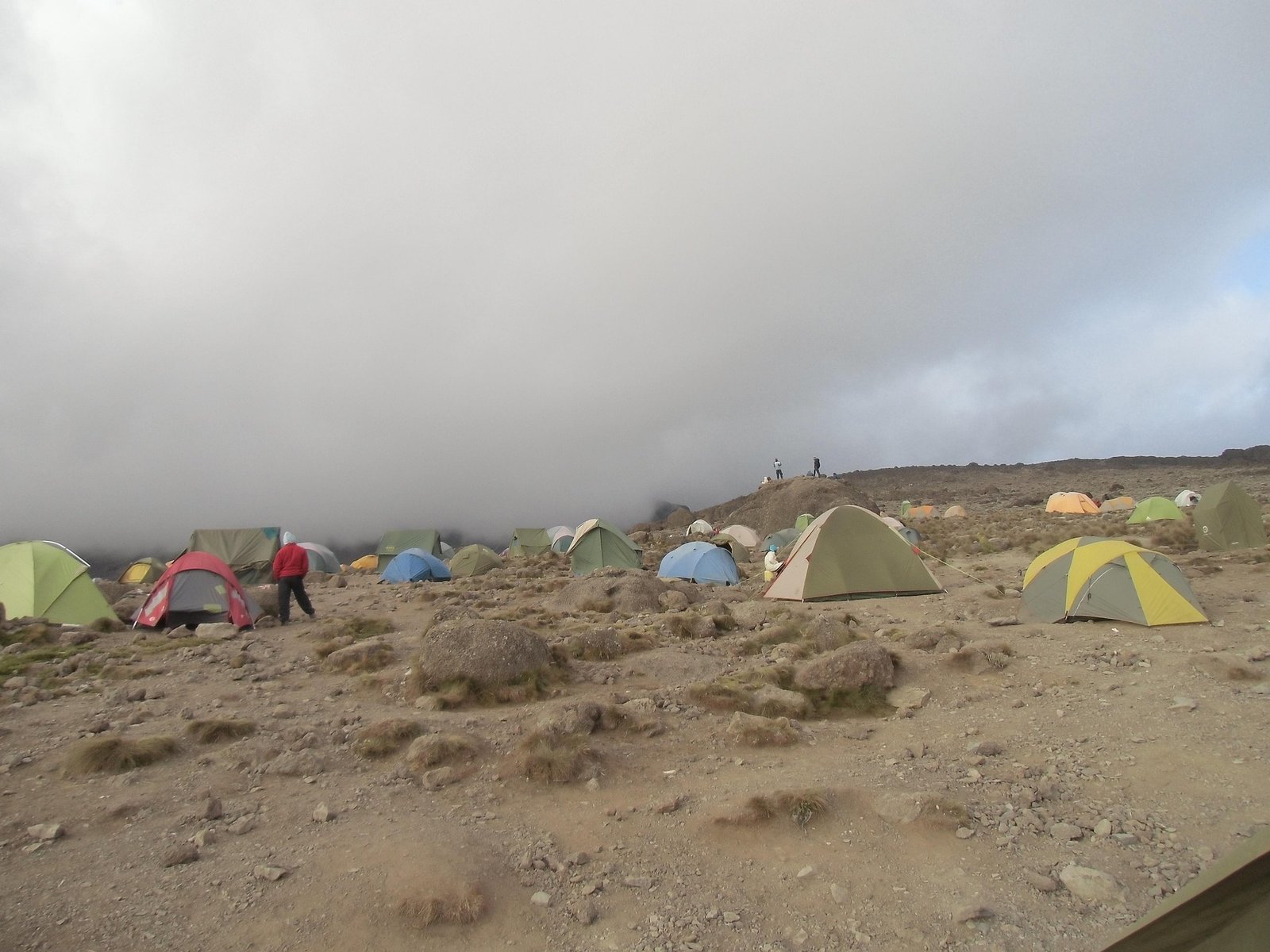 Hikers trekking Mount Kilimanjaro Tanzania