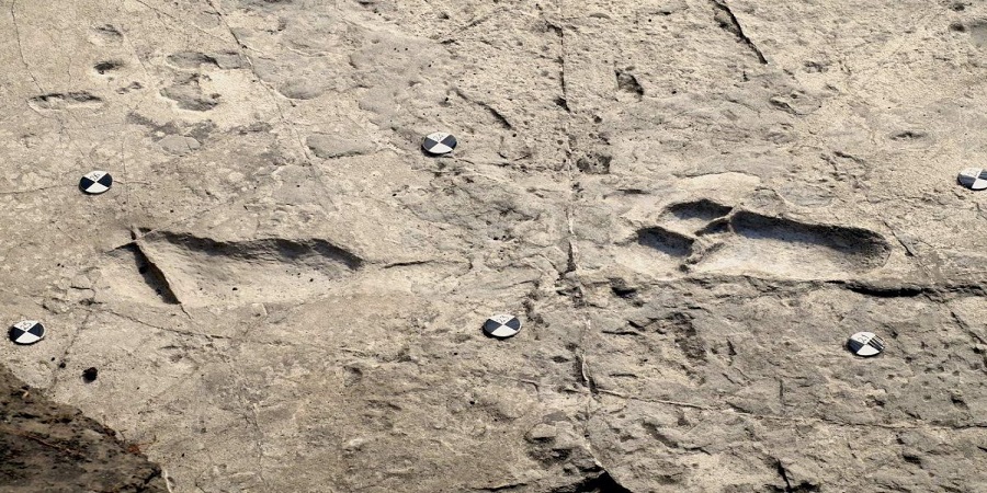 Things to Do in Ngorongoro