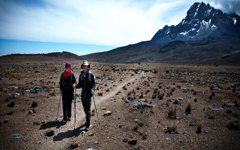 Machame views