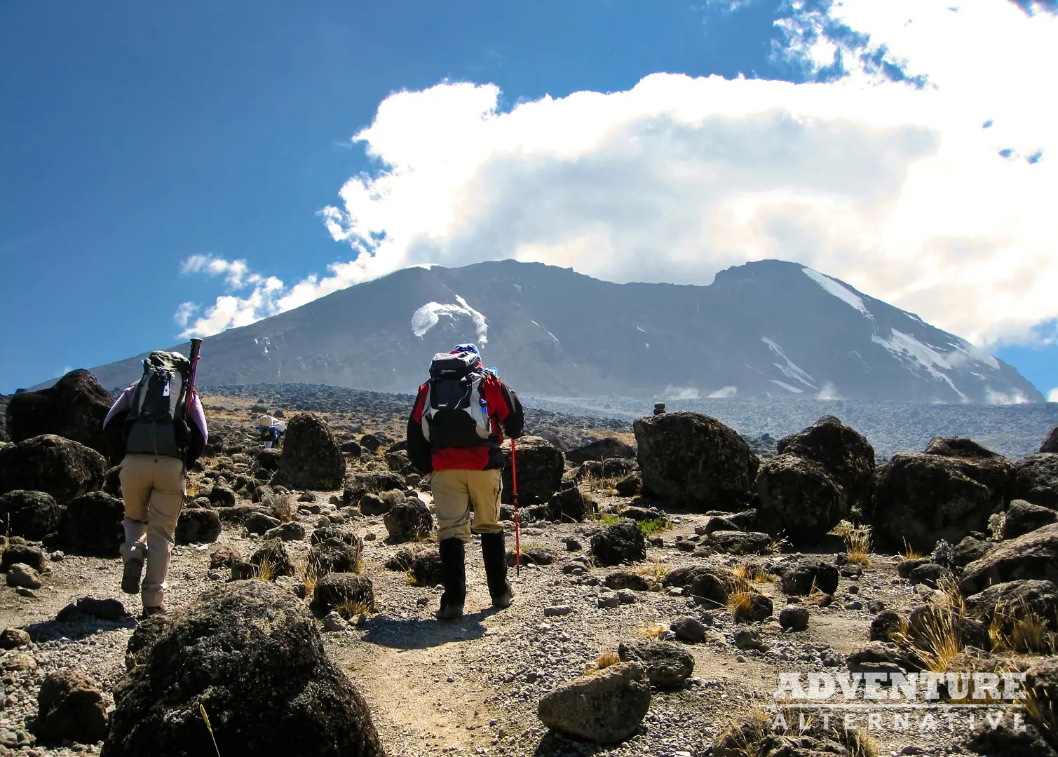Trekking through diverse landscapes on Machame Route
