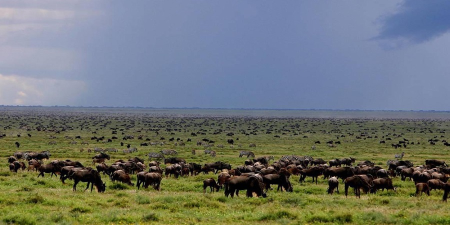 Things to Do in Ngorongoro