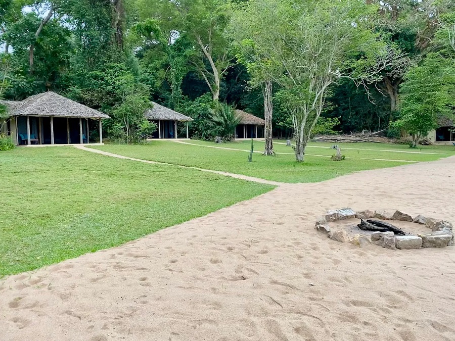 Rubondo Island Lake Victoria chimpanzee habitat