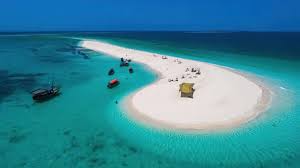 Safari Blue Zanzibar