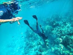 Snorkeling & Diving