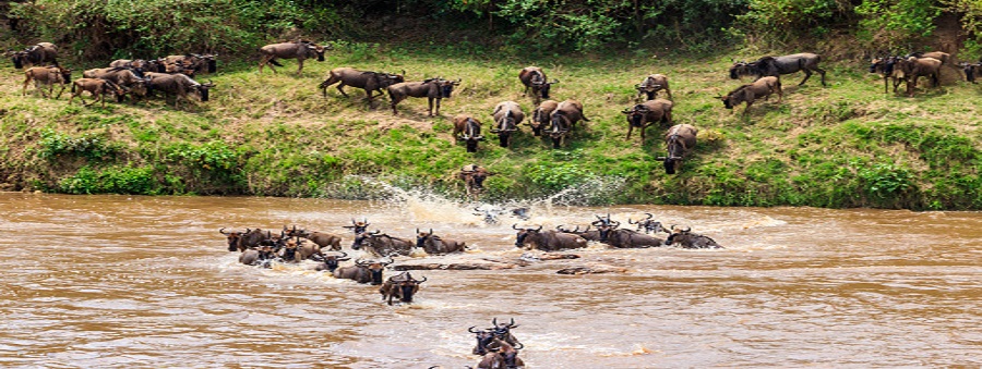Happy family enjoying a safari game drive in Tanzania